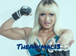 TheAnimal13