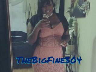 TheBigFine304