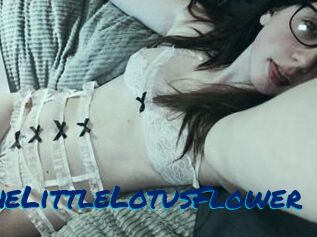 TheLittleLotusFlower Sexe City