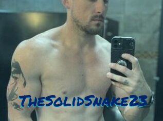 TheSolidSnake23 Sexe City