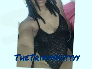 TheTrippyKittyy
