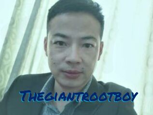 Thegiantrootboy