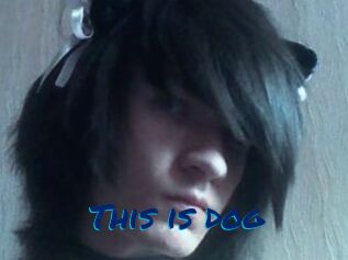 This_is_dog