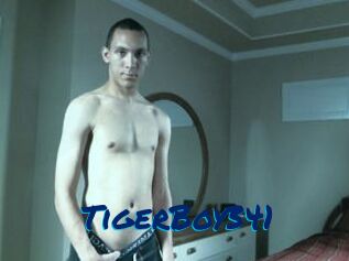 TigerBoy341