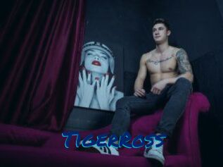 TigerRoss Sexe City