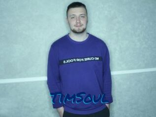 TimSoul