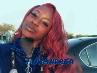 TinyAndrea