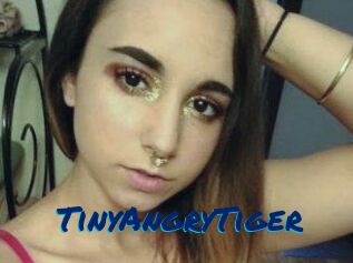 TinyAngryTiger
