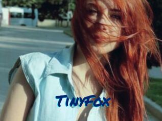 TinyFox