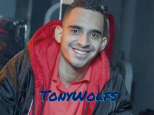 TonyWolfs