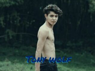 Tony_wolf