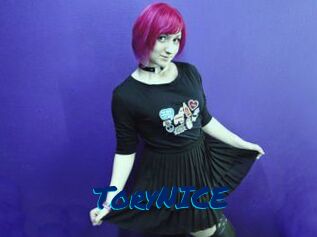 ToryNICE