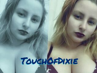 TouchOfDixie