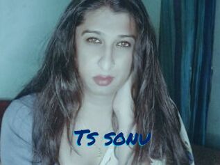 Ts_sonu