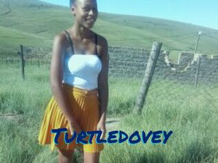 Turtledovey