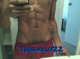 Twinkcut22 Sexe City