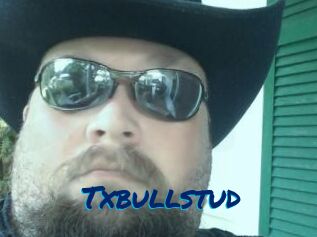 Txbullstud