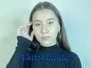 Taitfenning