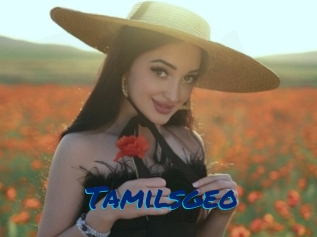 Tamilsgeo