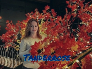 Tanderrose