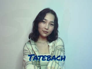 Tatebach