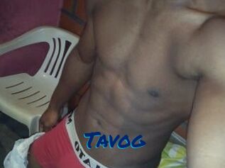 Tavog