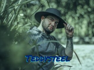 Teddysteel