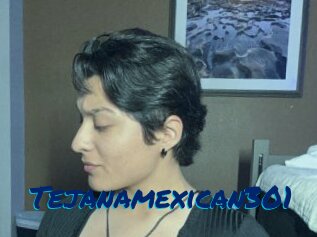 Tejanamexican301
