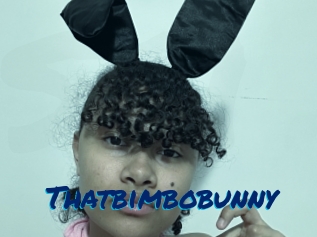 Thatbimbobunny