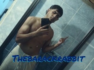 Thebarackrabbit