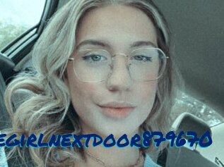 Thegirlnextdoor879670
