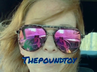 Thepoundtoy