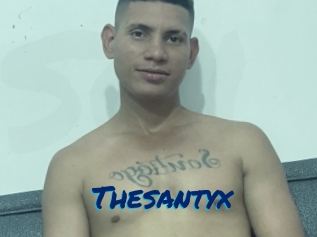 Thesantyx