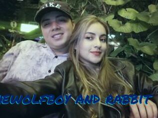 Thewolfboy_and_rabbit