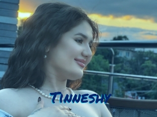 Tinneshy