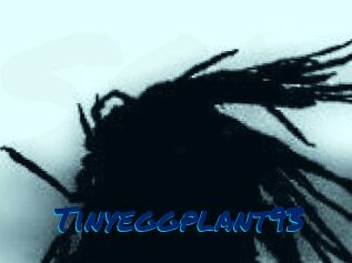 Tinyeggplant93