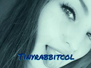 Tinyrabbitcol