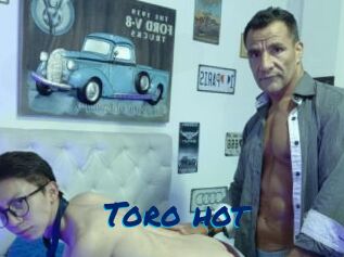 Toro_hot