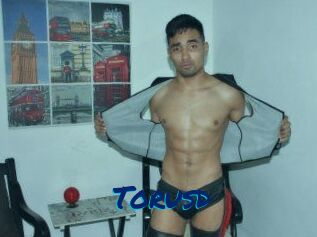 Torusd