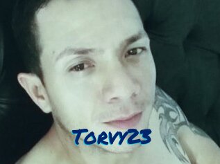 Torvy23