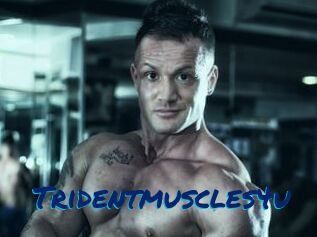 Tridentmuscles4u