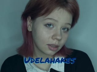 Udelahakes