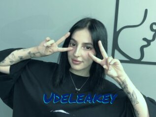Udeleakey