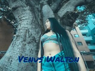 Venus_Walton