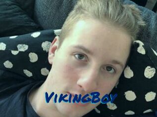 VikingBoy