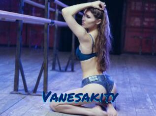 Vanesakity