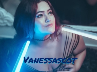 Vanessascot