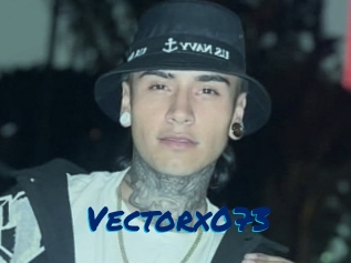 Vectorx073