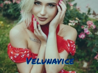 Velunavice