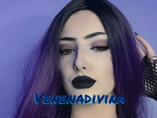 Venenadivina